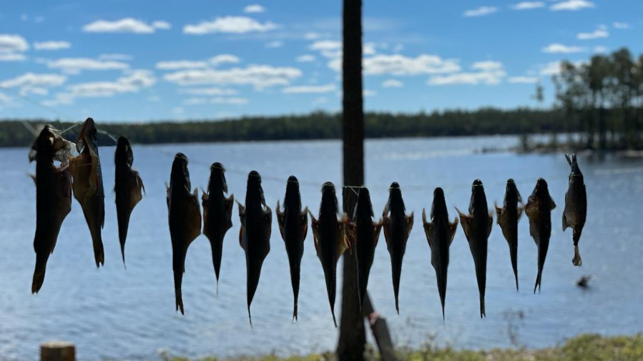 Рыбалка на топозере в Карелии: лучшие места и советы